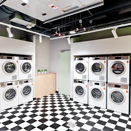 Shed Living 3*