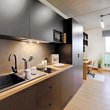 Shed Living 3*