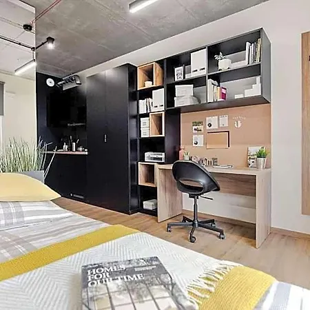 Shed Living