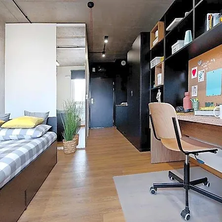 Shed Living